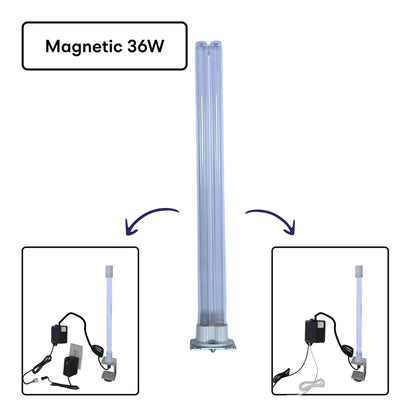 Replacement Bulbs