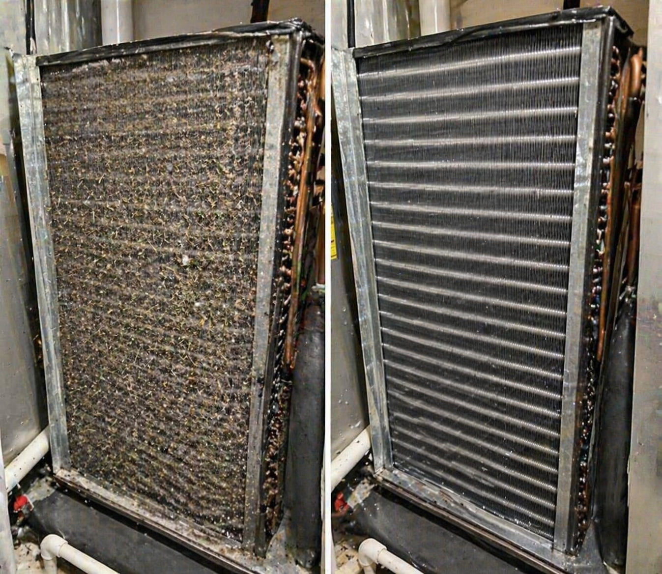 Dom's coil — before and after 90 days